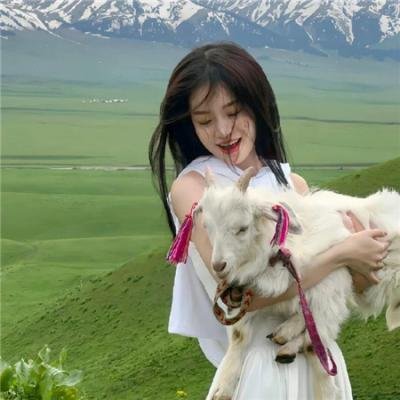 玩命贴图